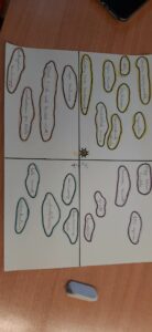 338336159_242473324814276_1829937026437590005_n